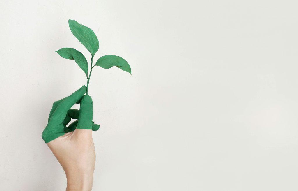 eco-friendly painting